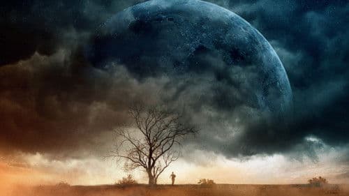 Don't Come Back from the Moon Bild 4