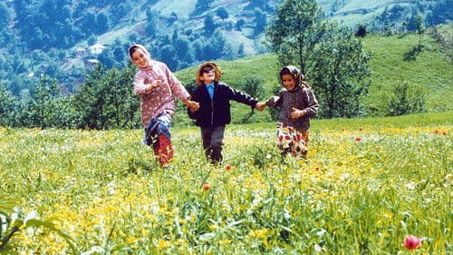 Die Farben des Paradieses Bild 2