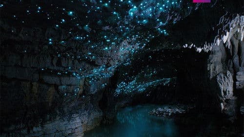 Verborgene Welten Bild 5