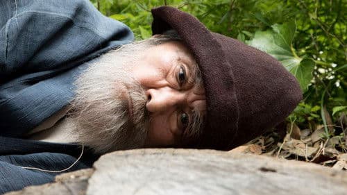 モリのいる場所 Bild 2