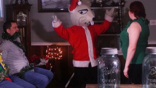 Curtains for Christmas Bild 2