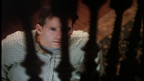 Der Liebesbrief Bild 3