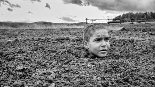 The Painted Bird Bild 7