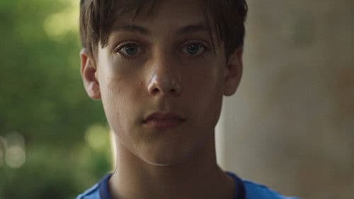 Le variabili dipendenti Bild 6