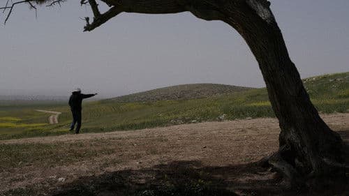 Under a Blue Sun Bild 7