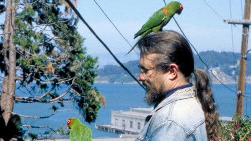 The Wild Parrots of Telegraph Hill Bild 1