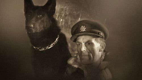 König des Böhmerwaldes Bild 1