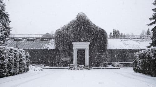 Історія Зимового саду Bild 1