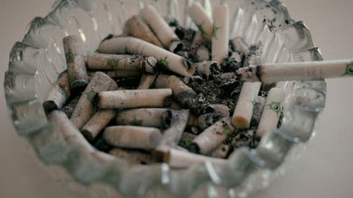 Una mujer de ficción Bild 5