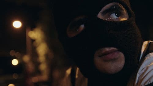 The Supplement Bild 5