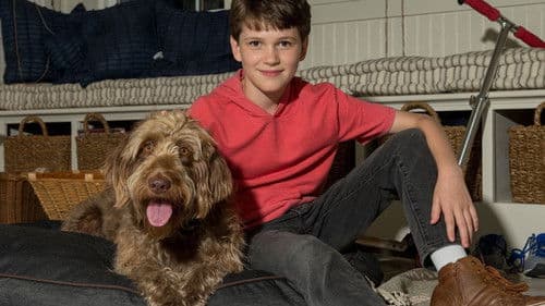 Denke wie ein Hund Bild 3