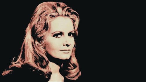 O Santo Mestiço Bild 1