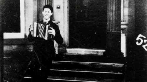 Accordion Player Bild 1