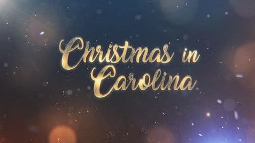 A Carolina Christmas Bild 1