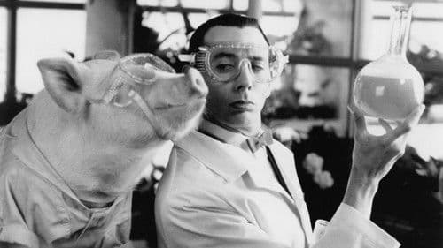 Manege frei für Pee Wee Bild 2