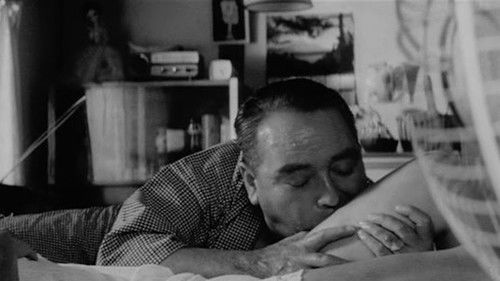 Das Insektenweib Bild 4