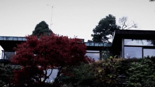 Duer Skal Flyve Frit I Himlen Bild 7