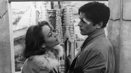 Rocco und seine Brüder Bild 4