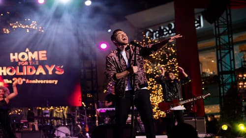 A Home for the Holidays: The 20th Anniversary Bild 2