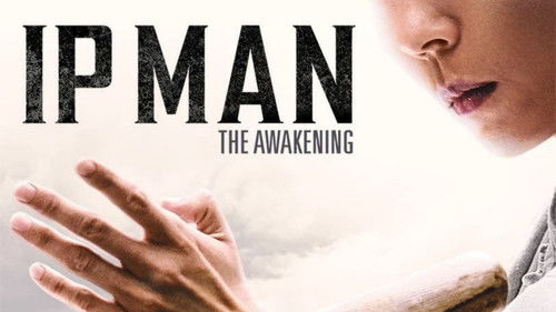 Ip Man: The Awakening Bild 1