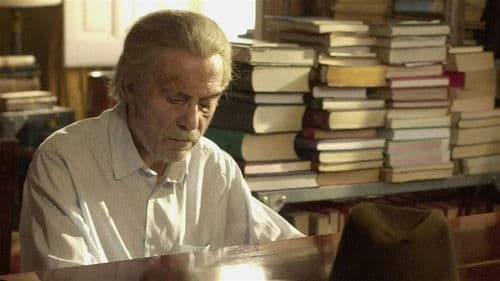 La luz prodigiosa Bild 2