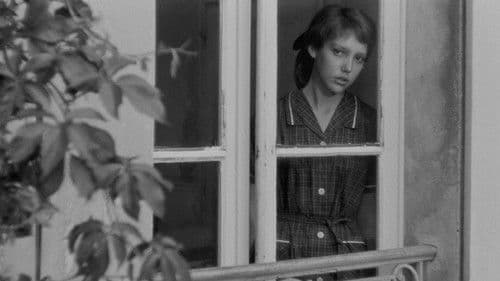 Zum Beispiel Balthazar Bild 3