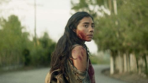 Cadejo Blanco Bild 2