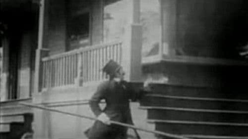 The Curtain Pole Bild 1