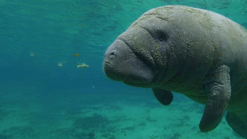 America's National Parks Bild 1