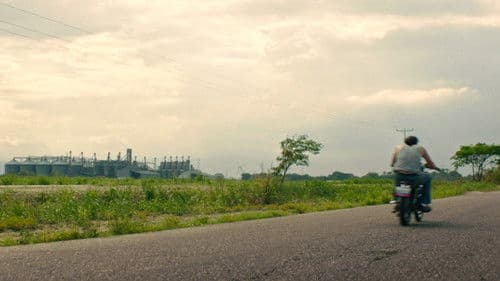 La Sombra del Sol Bild 1