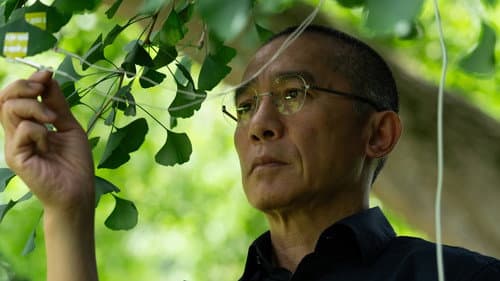 Stiller Freund Bild 5