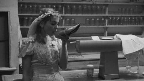 Perlen auf dem Meeresgrund Bild 1