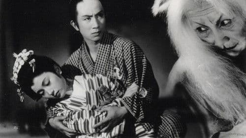 Black Cat Mansion Bild 1