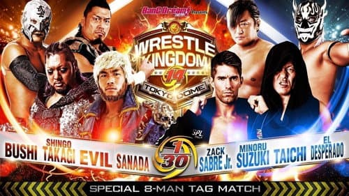 NJPW Wrestle Kingdom 14: Night 1 Bild 6