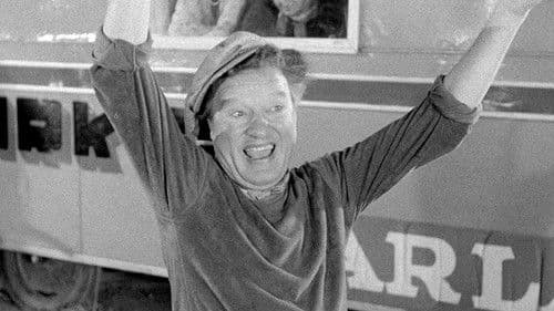 Fløjtespilleren Bild 4