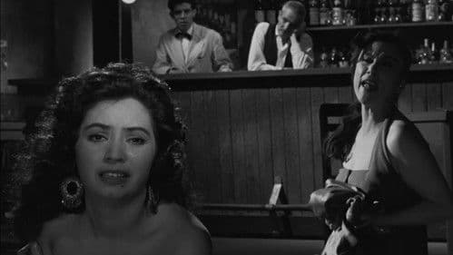 Cada quién su vida Bild 3