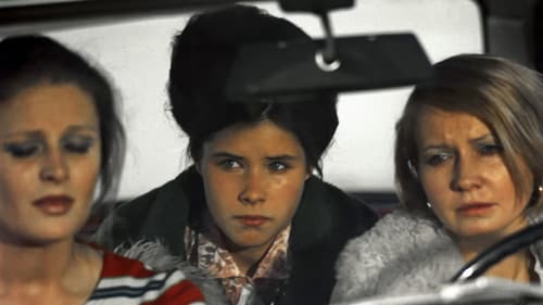 Alles zu verkaufen Bild 6