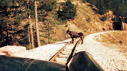 Das Leben ist ein Wunder Bild 3