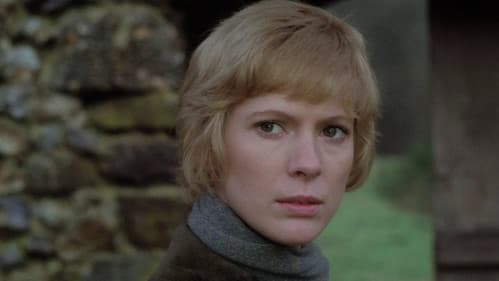 Ein wildes Wochenende Bild 7