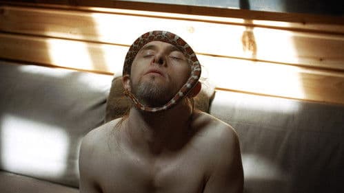 Théo et les métamorphoses Bild 1