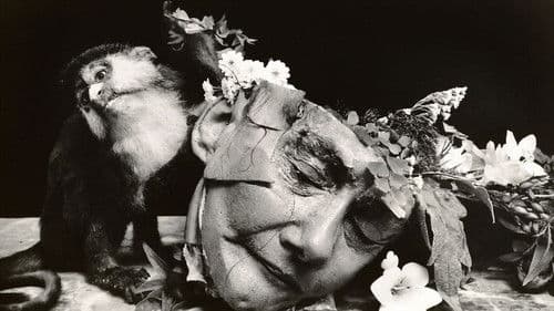 Witkin & Witkin Bild 1