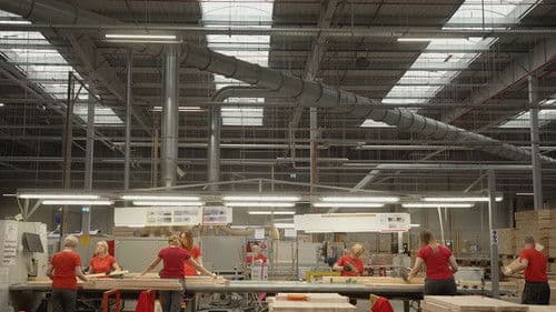 Wie IKEA den Planeten plündert Bild 1