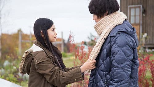 愛を積むひと Bild 1