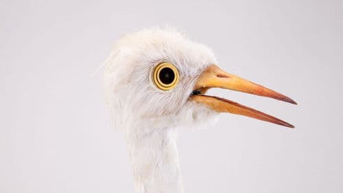 Spione im Tierreich Bild 5