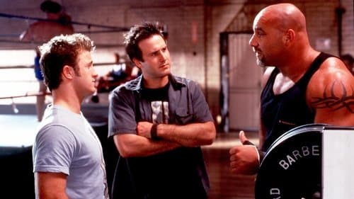 Ready to Rumble Bild 1