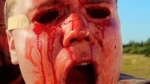 Mootorsaed laulsid Bild 8