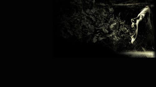 Possession - Das Dunkle in Dir Bild 5