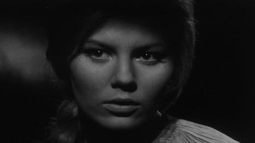 Goldener Farn Bild 3