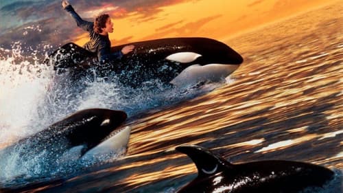 Free Willy 2 - Freiheit in Gefahr Bild 5