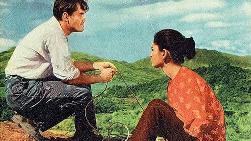 Hölle auf Guam Bild 2